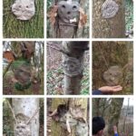 Forest School 8