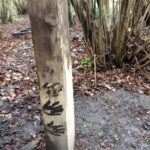 Forest School 9